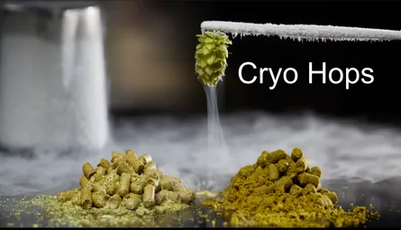 What Are Cryo Hops?